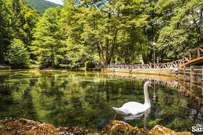Private Carriage Ride in Vrelo Bosne Nature Park - The Experience’s Unique Charm and Personalization
