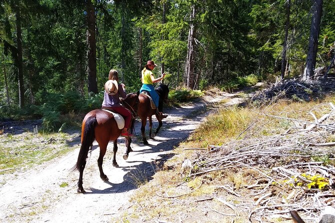 Private Cascades Waterfall Horseback Riding Tour from Smolyan - An Exciting 2-Hour Horseback Riding Tour to the Cascades Waterfalls from Smolyan
