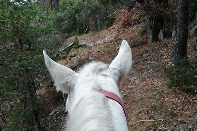Private Cascades Waterfall Horseback Riding Tour from Smolyan - Riding Through the Waterfalls Canyon Eco Path