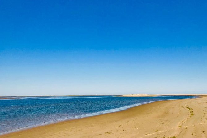 Private Catamaran Boat Tour - Ria Formosa - The Luxury and Comfort of the Catamaran Lagoon 400