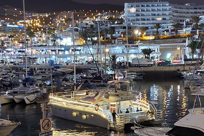 Private Catamaran Charter with Transfer, Buffet and Snorkeling - Wildlife Viewing Opportunities During the Cruise