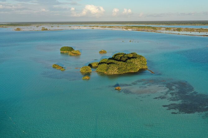 Private Catamaran Tour - Wildlife and Birdwatching at Isla de los Pájaros