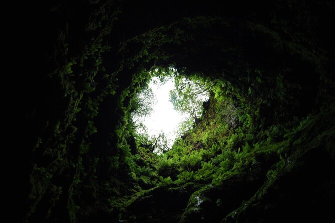 Private Caves Tour with a Geologist - Key Points