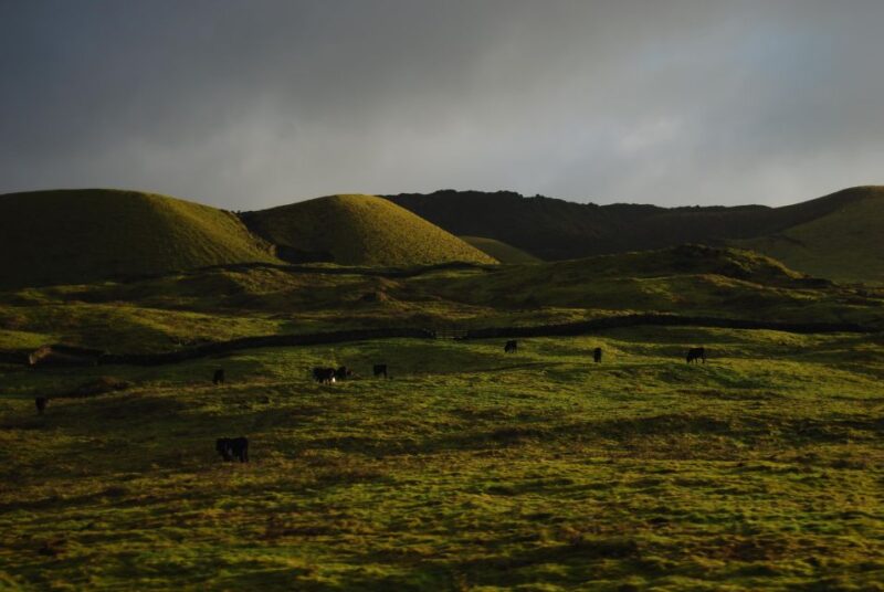 Private Caves tour with a Geologist - Customizable Stops Along the Central Island