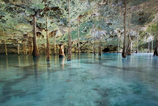 Private Cenote Experience, swim in the heart of the Mayan Jungle - Explore the Heart of the Mayan Jungle with a Private Cenote Tour