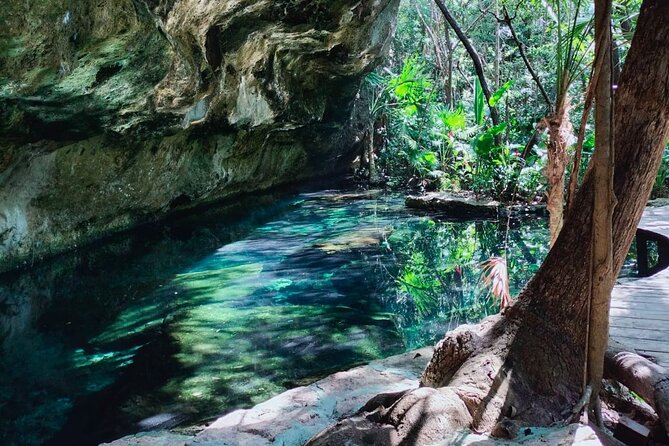 Private Cenote Experience, swim in the heart of the Mayan Jungle - Walking Through the Mayan Jungle Trails