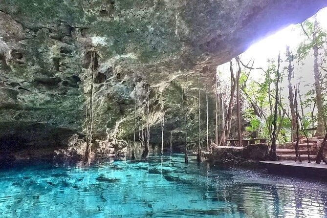 Private Cenote Experience, swim in the heart of the Mayan Jungle - Discovering and Swimming in Four Pristine Cenotes