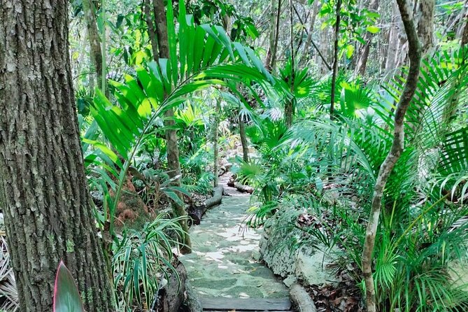 Private Cenote Experience, swim in the heart of the Mayan Jungle - The Guide’s Role and Personalized Touch