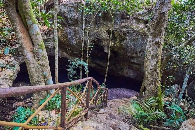 Private Cenote Experience, swim in the heart of the Mayan Jungle - Snorkeling Equipment and All Fees Covered