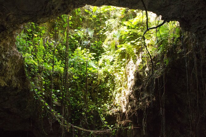 Private Cenotes Puerto Morelos - Four Zip-Lines Through the Mayan Jungle