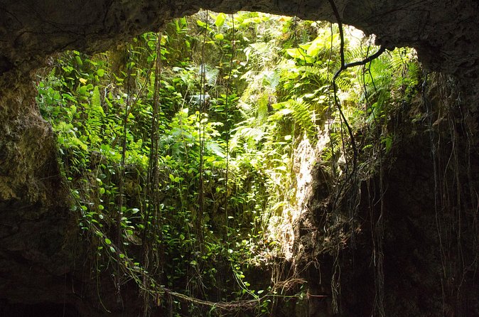 Private Cenotes Puerto Morelos - Logistics: Seamless Private Transportation and Guided Support