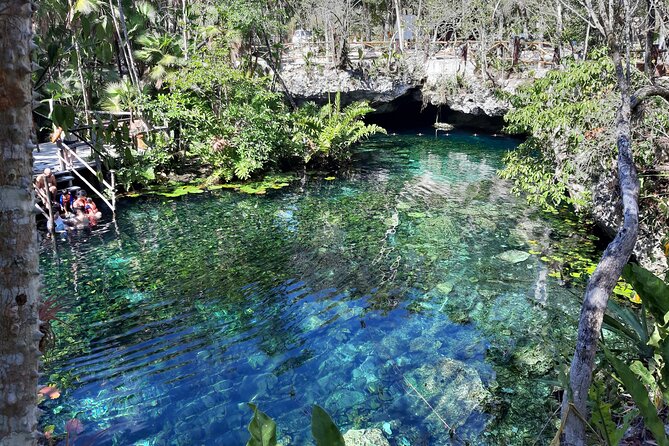 Private Cenotes tour - Hassle-Free Pickup and Drop-off in Playa del Carmen