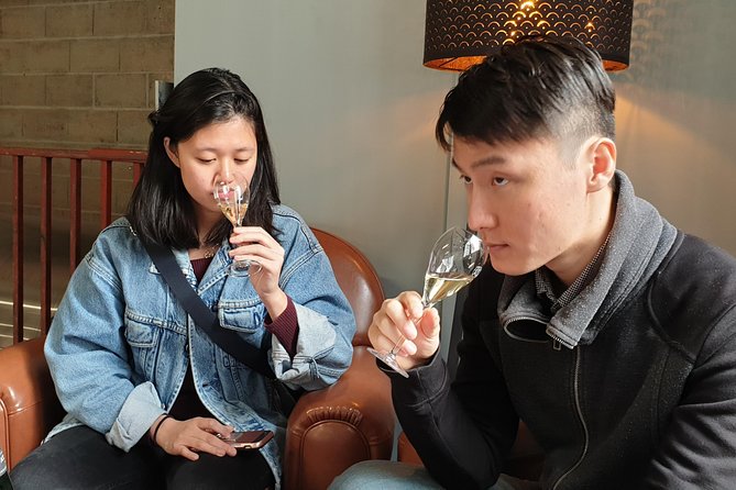 Private Champagne big wineries tour - Exclusive Visits to Reims and Epernays Top Champagne Houses