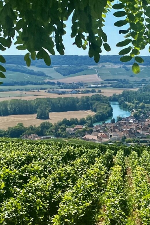 Private Champagne Moet et Chandon Veuve Clicquot by Mercedes - Exploring Hautvillers Village and Scenic Viewpoints