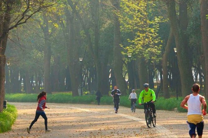 Private Chapultepec Park by Bike Guided Tour - Practical Information: Logistics and Accessibility