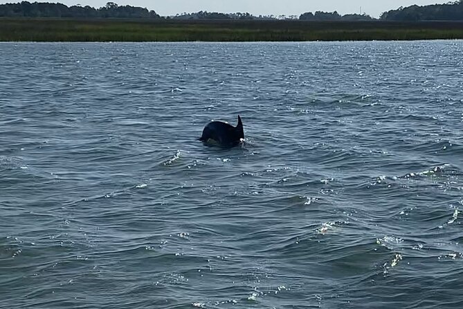 Private Charleston Dolphin and Eco Boat Tour - Logistics: Meeting Point, Group Size, and Weather Considerations