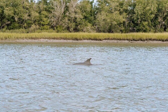 Private Charleston Dolphin Tour - Discover Charleston’s Coastal Beauty on a Private Dolphin Tour