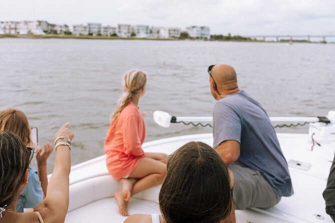 Private Charleston Dolphin Tour - The Experience of Seeing Dolphins in Charleston