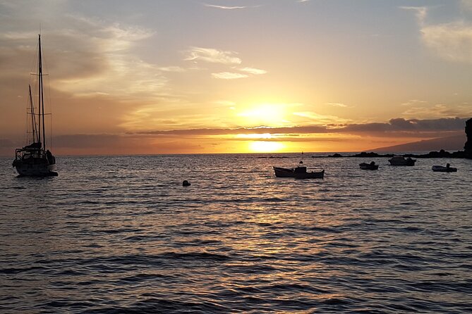 Private Charter 2 Hours Whale Watching Puerto Colon Adeje - The Experience of the Boat and Crew