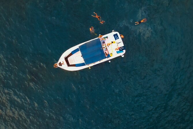 private charter 3 Hours Whale Encounter puerto colon adeje - Snorkeling in Turtle Bay and Scenic Breaks