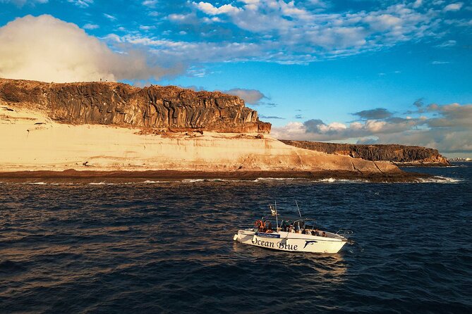 private charter 3 Hours Whale Encounter puerto colon adeje - Accessibility and Group Size