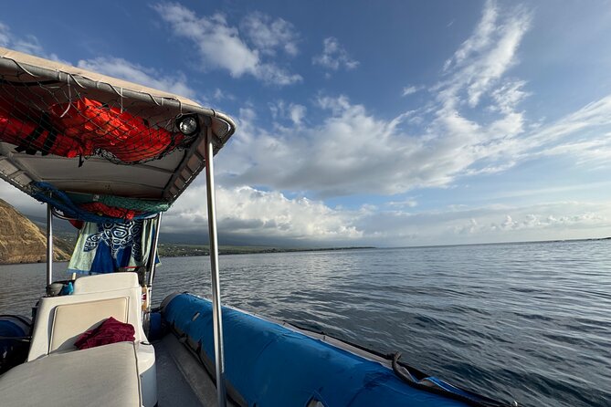 Private Charter Custom Kealakekua Bay Snorkeling - Key Points