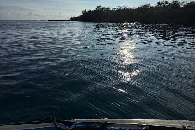 Private Charter Custom Kealakekua Bay Snorkeling - Meeting Point and Booking Details