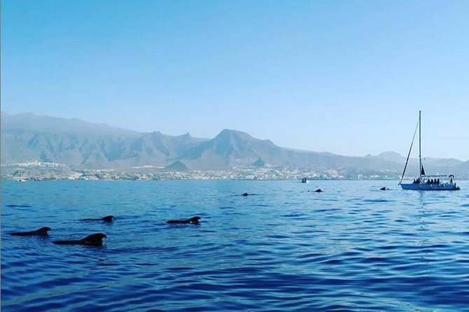 Private Charter in Tenerife south max 7 people - Exclusive Private Boat Charter in Tenerife South for Small Groups