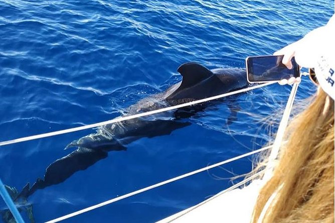 Private Charter in Tenerife south max 7 people - Playa del Puertito: The Main Stop and Scenic Highlight