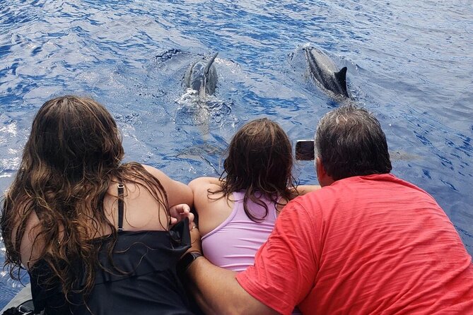 Private Charter Morning Snorkel and Wildlife Watch. Up to 18 Pax - Discover the Private Morning Snorkel and Wildlife Watch on Big Island
