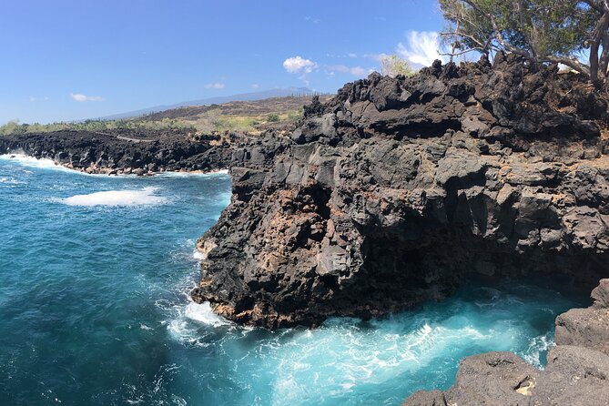 Private Charter Morning Snorkel and Wildlife Watch. Up to 18 Pax - Marine Life You’re Likely to Encounter