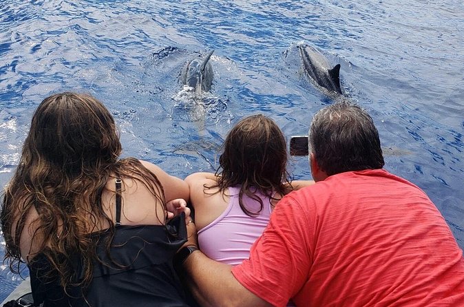 Private Charter Morning Snorkel and Wildlife Watch. Up to 18 Pax - Comfortable Boat Features for a Smooth Trip