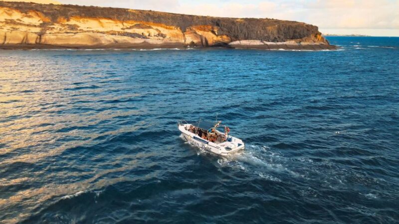 Private Charter Private Charter to see the whales - 2 Hours - From Departure to Return: The Itinerary