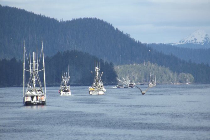 Private Charter Scenic Wildlife Excursion for Cruise Passengers - Pacing and Weather Considerations