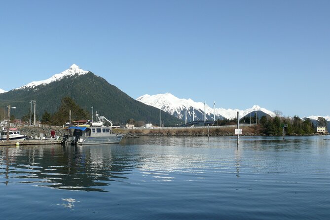 Private Charter Scenic Wildlife Excursion for Cruise Passengers - How This Tour Compares to Other Sitka Excursions
