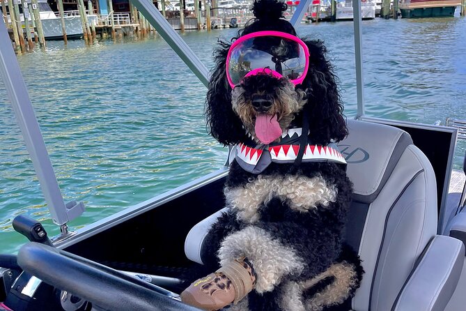 Private Chartered Luxury Pontoon Boat in Destin-Up to 6 Guests - Departure Point and Booking Convenience