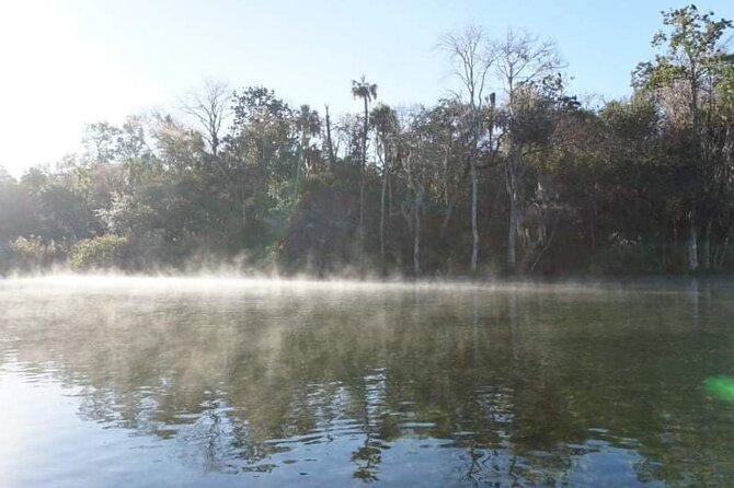 Private Chassahowitzka River Exploration kayak tour - Guided by Knowledgeable and Friendly Operators