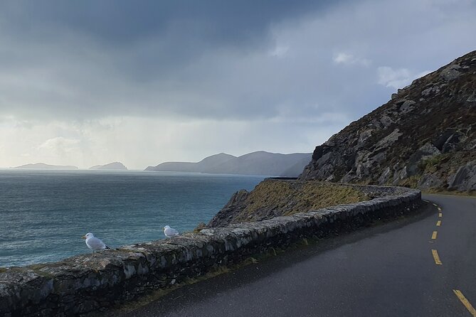 Private Chauffeur Service From Galway City to Dublin Airport - Inclusions and Extras for a Comfortable Journey