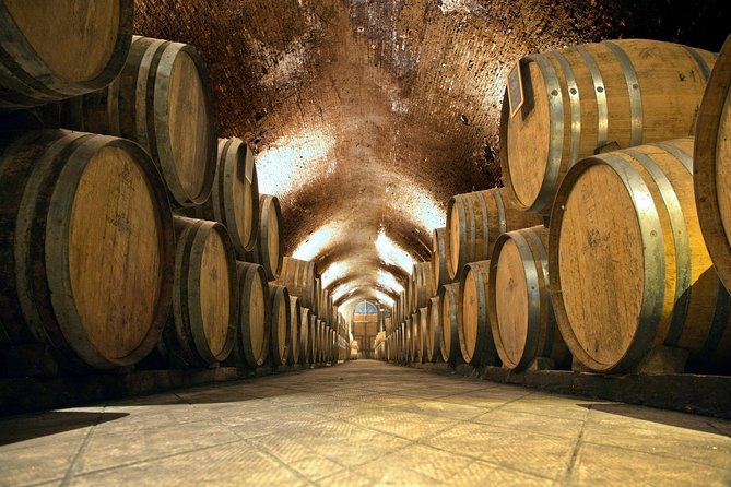 Private Chianti and SuperTuscan Tour 2 wineries with Light Lunch from Livorno - Tastings and Light Tuscan Lunch