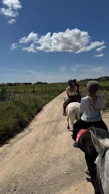 Private Chianti Horseback Riding Wine Tasting + Lunch - Tour of a Historic Chianti Wine Estate