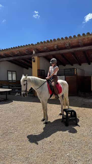 Private Chianti Horseback Riding Wine Tasting + Lunch - Traditional Tuscan Lunch with Local Specialties