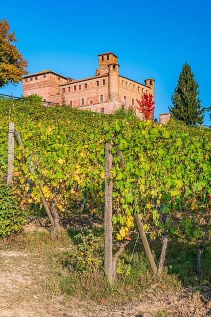 Private Chianti Horseback Riding Wine Tasting + Lunch - Logistics and Group Dynamics