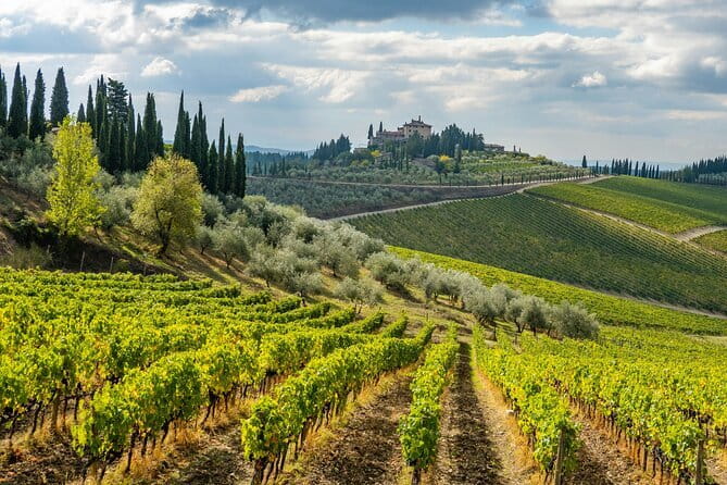 Private Chianti Safari: Off Road Tuscany Wine Tour with Lunch from Florence - Final Thoughts on the Private Chianti Safari