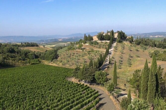 Private Chianti wine tour - Discovering the Charm of Chiantis Private Wineries
