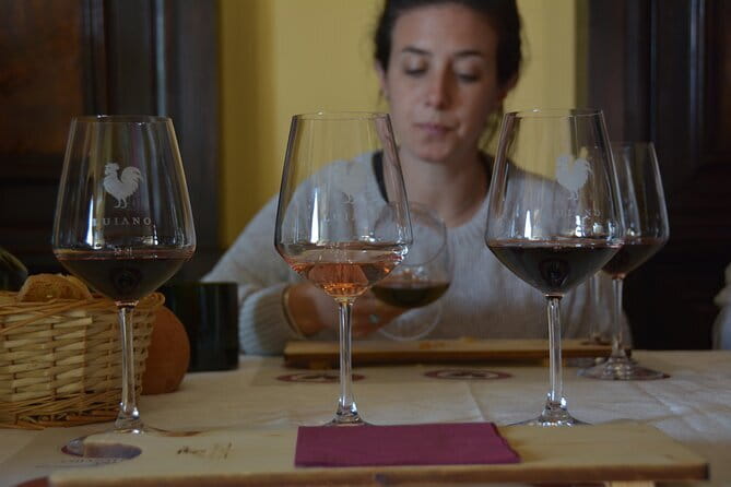 Private Chianti with Lunch Half Day from Florence - Exploring Panzano in Chianti’s Historic Cellars