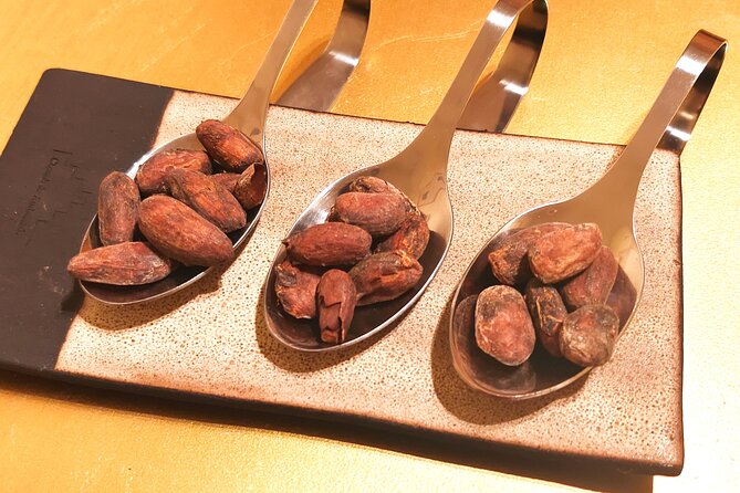 Private Chocolate Experience in Ghent - The Tasting Experience: From Cacao Origins to Delicious Pairings
