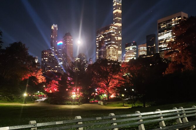 Private Christmas Lights Horse Carriage Tour In New York City - The Unique Charm of Barney and the Driver