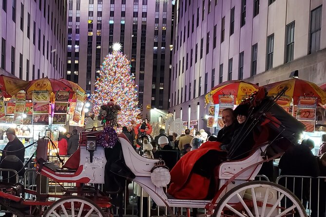 Private Christmas Lights Horse Carriage Tour In New York City - Practical Details: Booking, Cancellation, and Accessibility