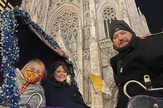 Private Christmas Lights Horse Carriage Tour In New York City - Final Thoughts on the Private Christmas Lights Horse Carriage Tour