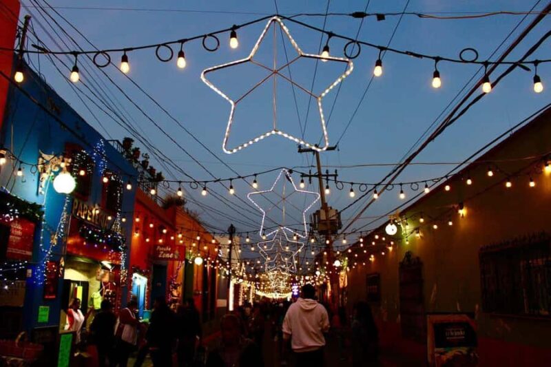 Private Christmas Walking Tour in Cabo San Lucas - The Festivities at Mercado Municipal and Christmas Foods